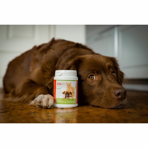 Hund Katze Nahrungsergänzungen Schonkost Hund Schonkost Katze Bierhefe & Chlorella 170g 1 Stück -3- Anifit